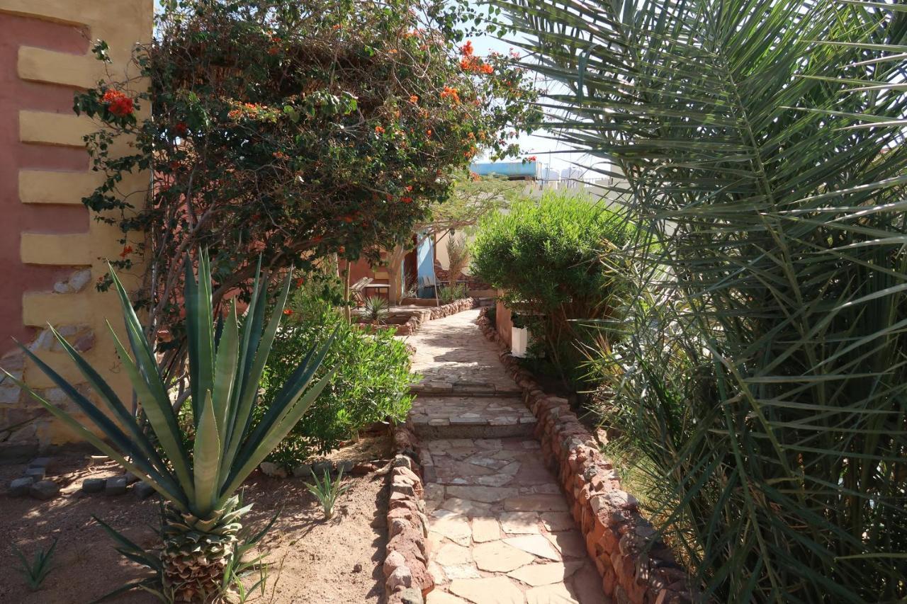 Bedouin Moon Village - Aqaba Al Burj Buitenkant foto